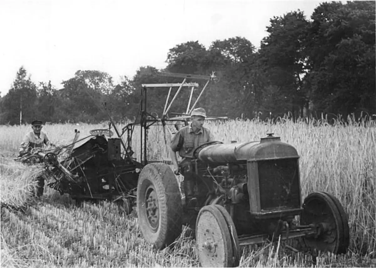 Bonde med traktor og skurtresker under innhøsting nær Altprohlis ved Dresden i 1950, tidlig i DDRs kollektivisering av landbruket.