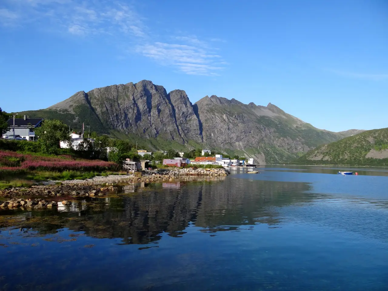 Torsken med hus langs fjorden og Skipstind som markant bakgrunn på Senja.