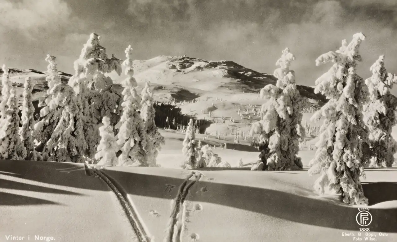 Snødekt vinterlandskap med islagt vann og skog i områdene rundt Kongsberg.