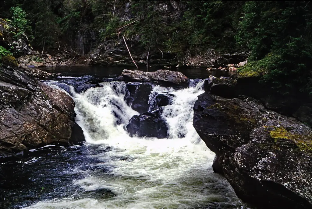 Gaula med stryk og berg ved Eidet bru i Gauldalen.