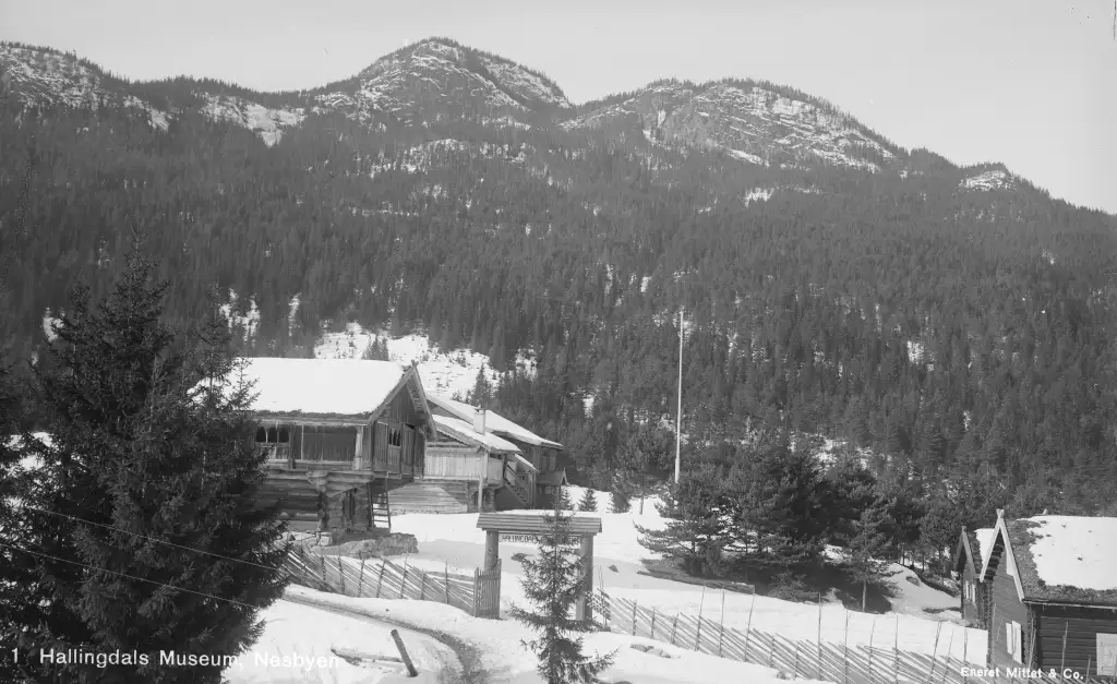 Hallingdal Museum i Nesbyen med museumsbygninger og fjell i bakgrunnen vinterstid.