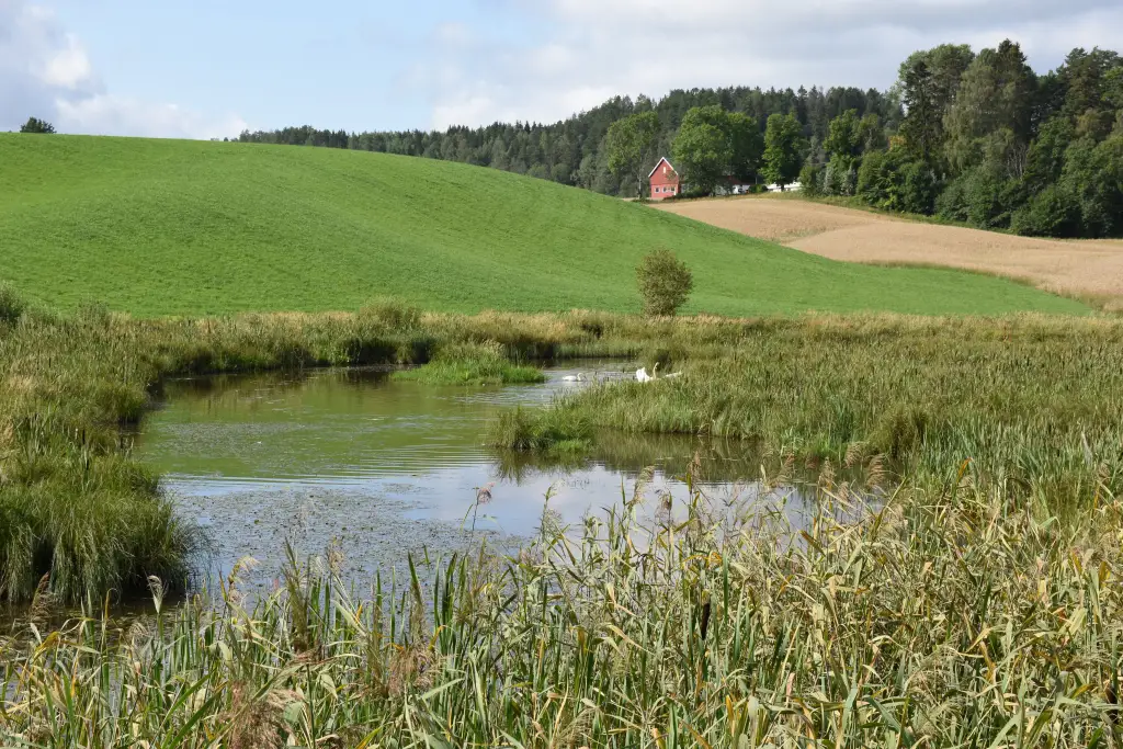 Igna i Kirkebygda i Enebakk med jordbrukslandskap og elveløp