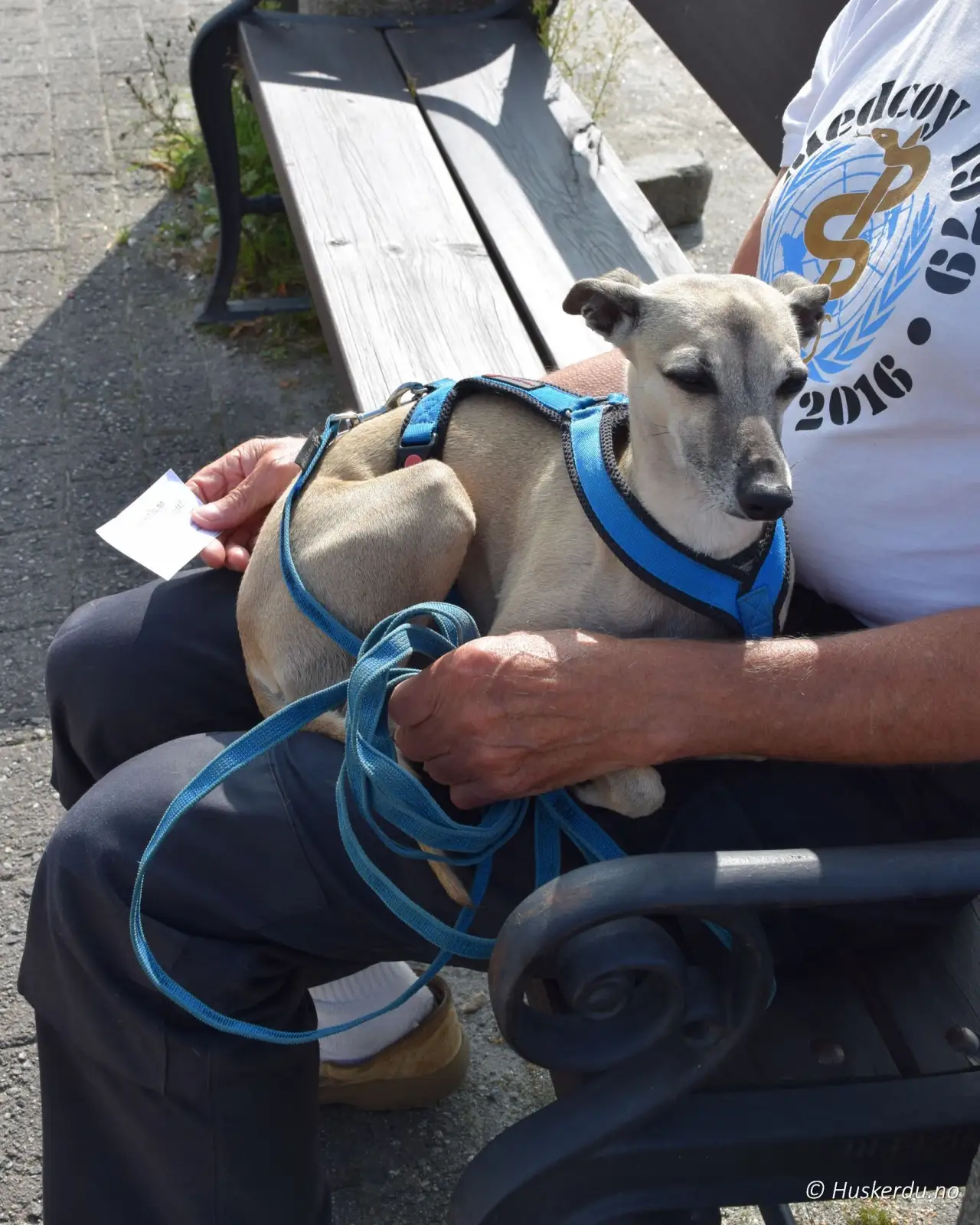 Lars Sæterbø sitter på benk i Askim sentrum med hund på fanget