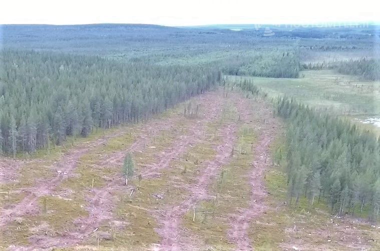 Pala Kalloa eniten tarjoavalle *,1ha määräala *jänkä suo metsämaa kaira  maata lapista – 