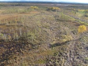 Kattilamaa Kurtakko * moottorikelkkareitin varrelta n.5700m2 määräala suota ja metsämaata