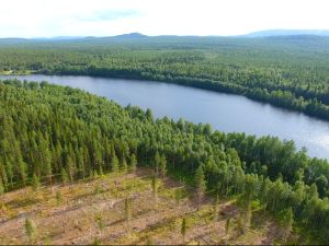 Kitinen jokirantaa * tie perille * osuudet yhteisiin * Luosto 5km * vaunuparkki tukikohta venepaikka
