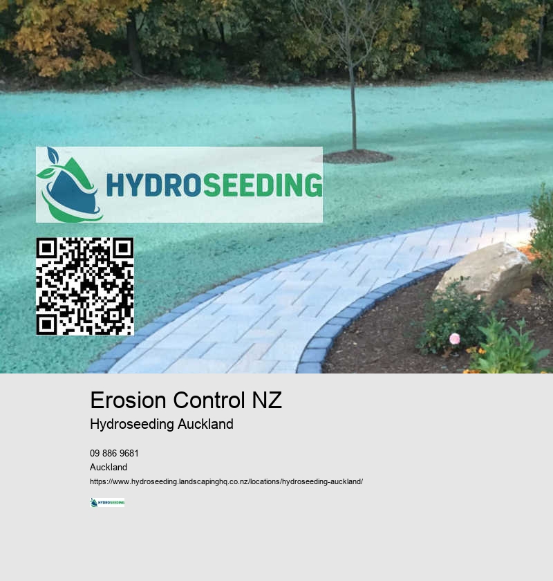 Spray On Lawn Seed NZ