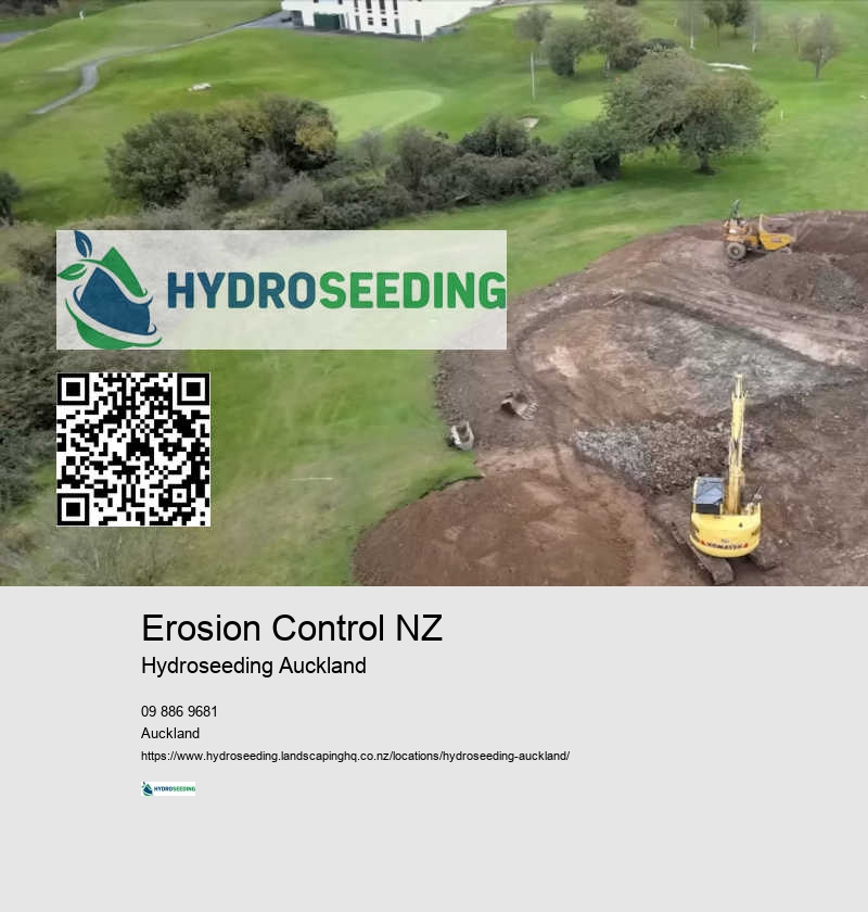 Hydroseeding Cost NZ