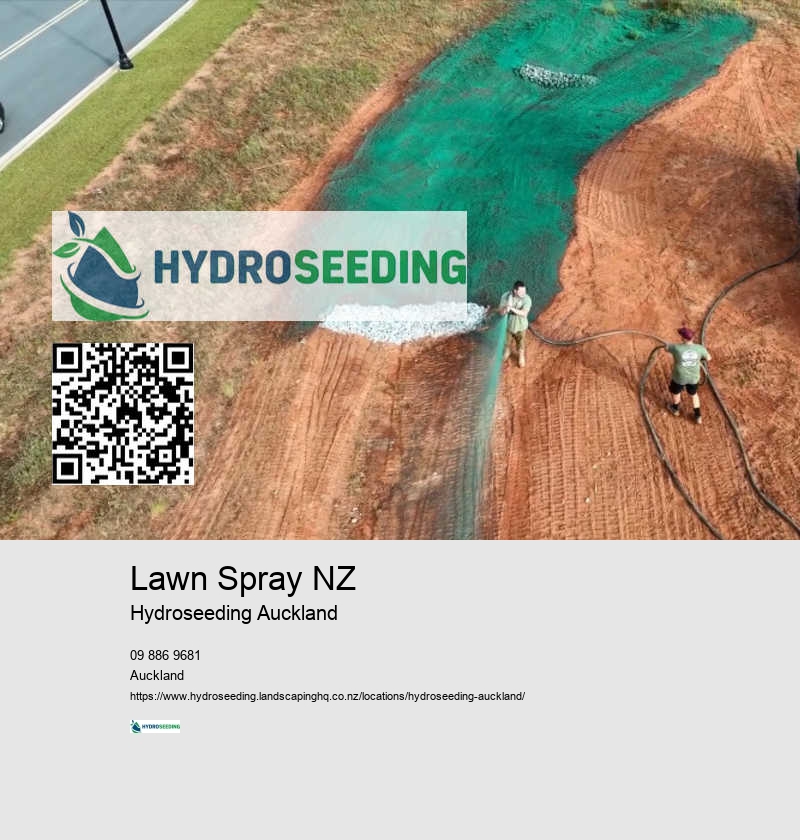 Ground Preparation For Hydroseeding Auckland