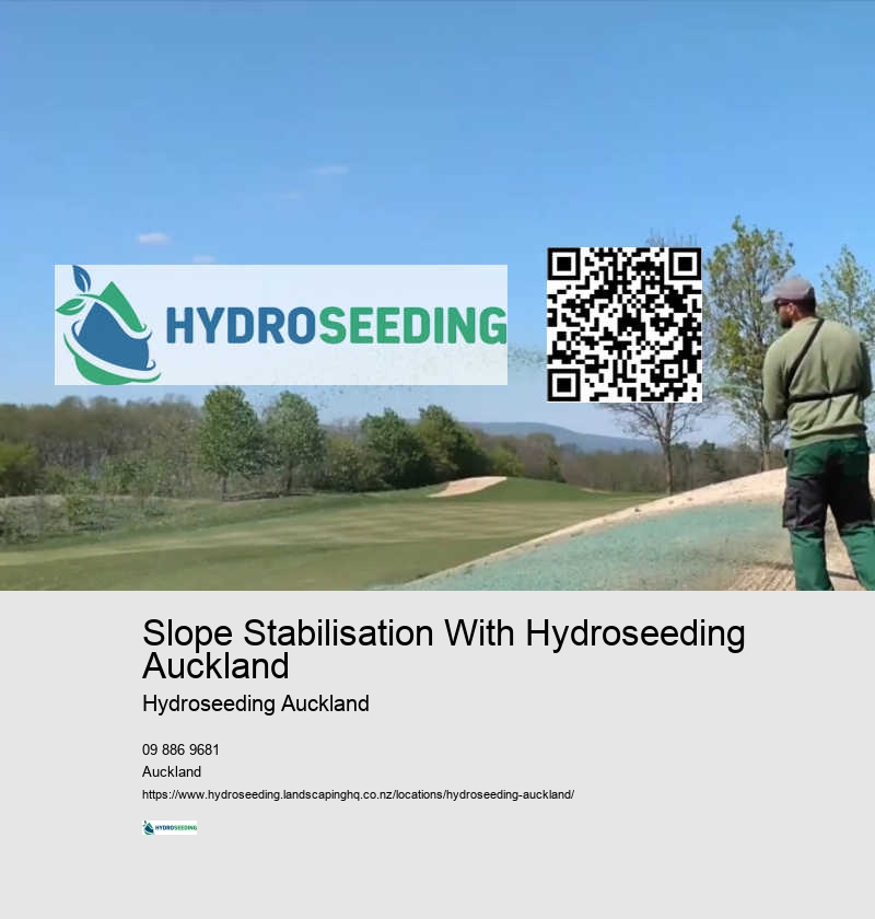 Slope Stabilisation With Hydroseeding Auckland