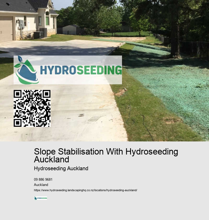 Hydroseeding For Residential Properties NZ