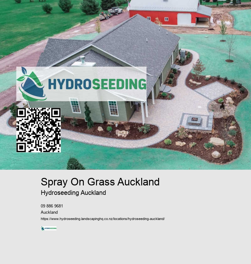 Seed Spraying For Lawns NZ