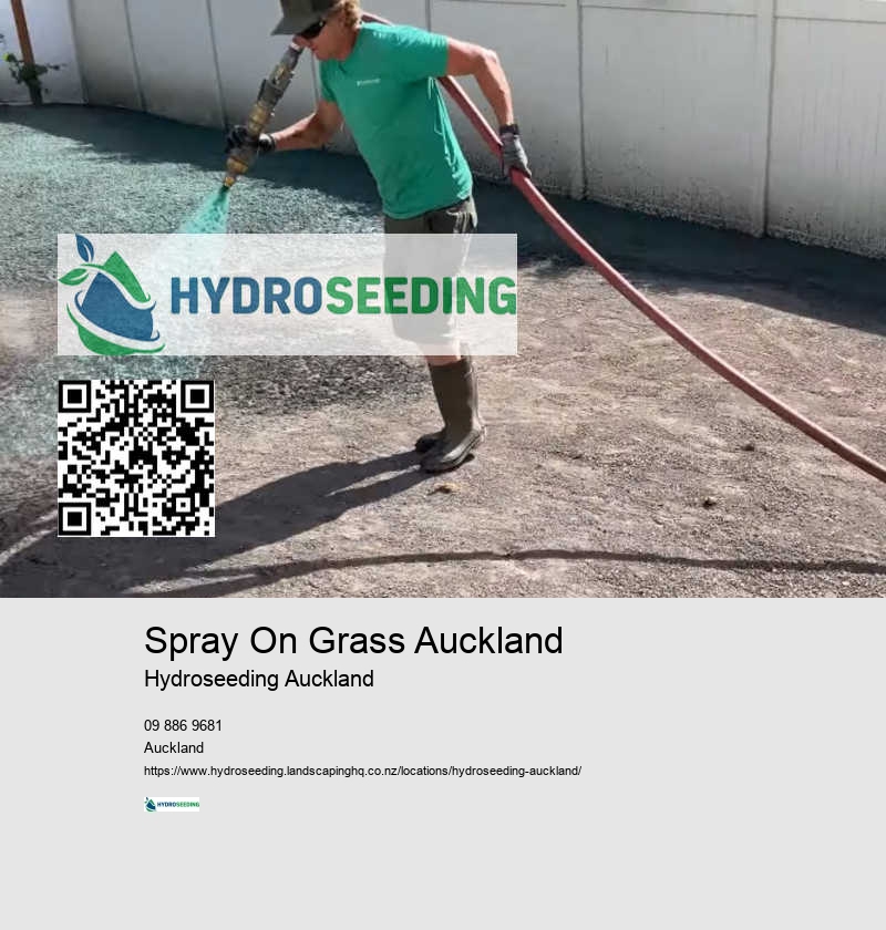 Hydroseeding Slope Management NZ