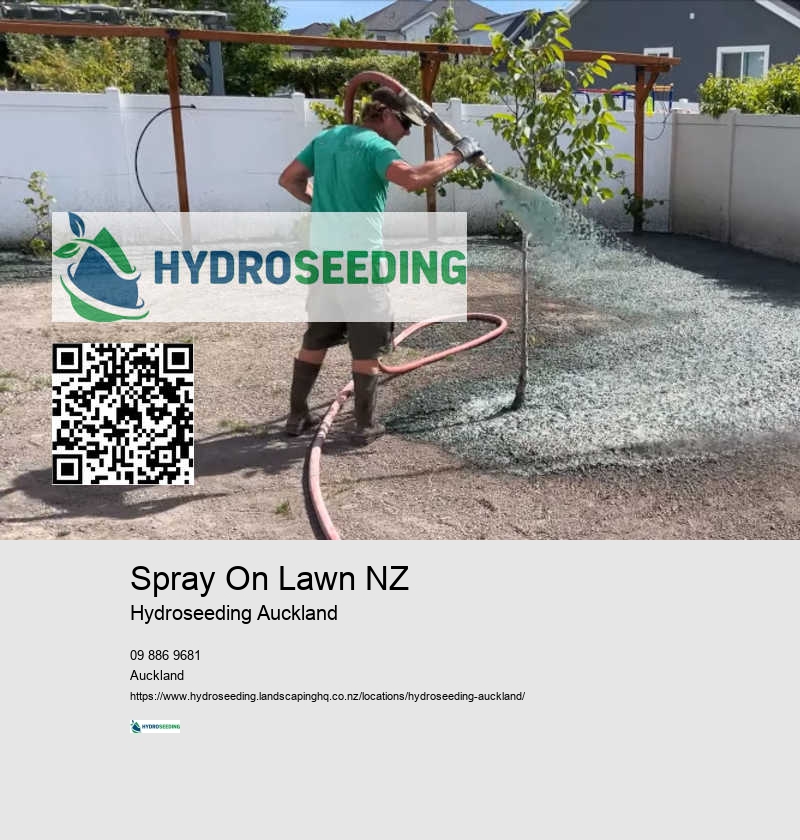 Spray Lawn Seed