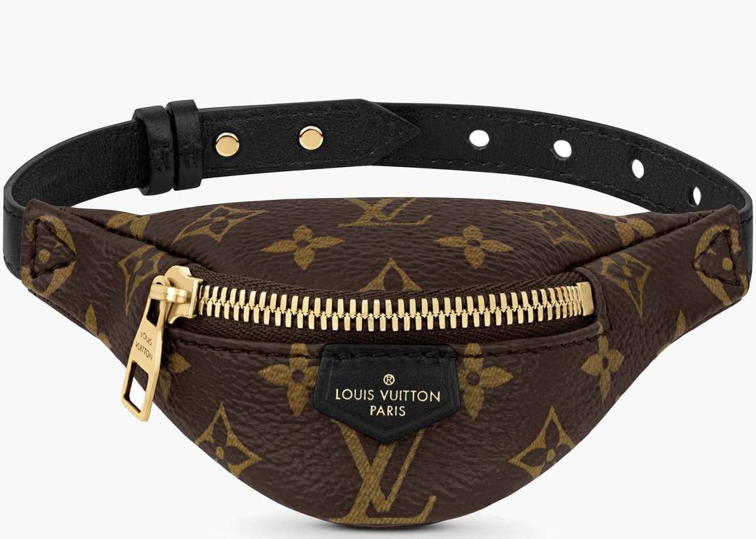 Louis Vuitton Party Bumbag Bracelet Monogram Brown