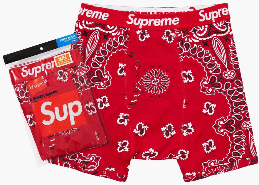 Supreme Hanes Boxer Briefs (2 Pack) White Bandana – The Hype