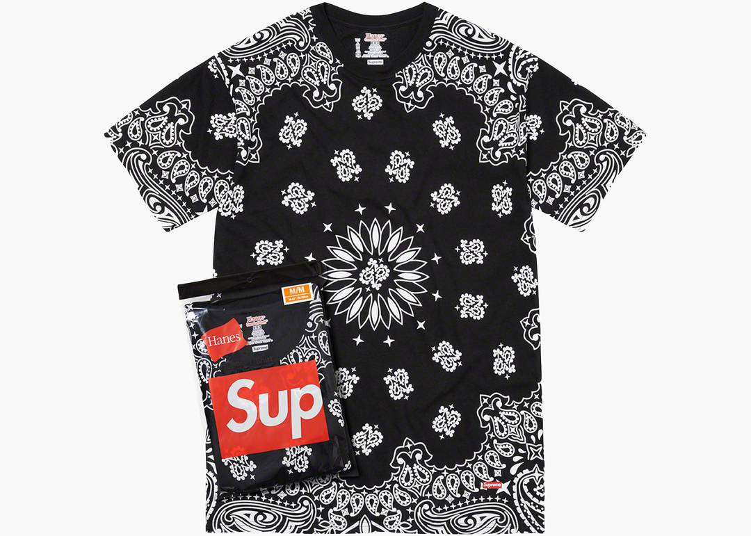 SUPREME シュプリーム 22AW×Hanes Bandana Tagless Tees 2 Pack ヘインズ バンダナタグレスTシャツ 1パック2枚入り 半袖カットソー パックT インナー ペイズリー柄 ブラック