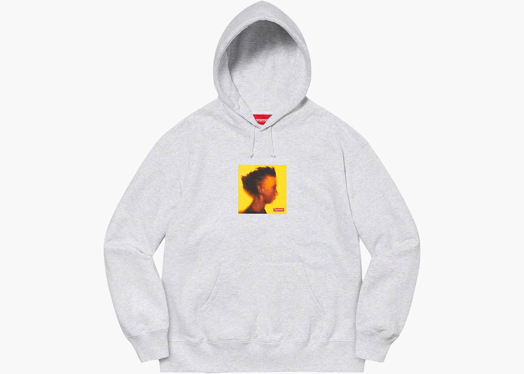 Fake Supreme x LV hoodie, Men's Fashion, Tops & Sets, Hoodies on