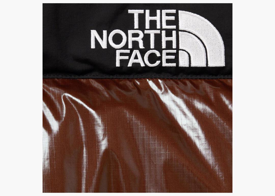 Supreme The North Face 700-Fill Down Parka Brown Men's - FW22 - US