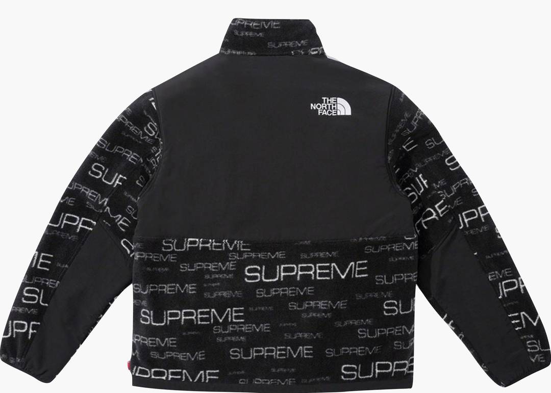 Supreme x The North Face Steep Tech Hooded Jacket 'Black