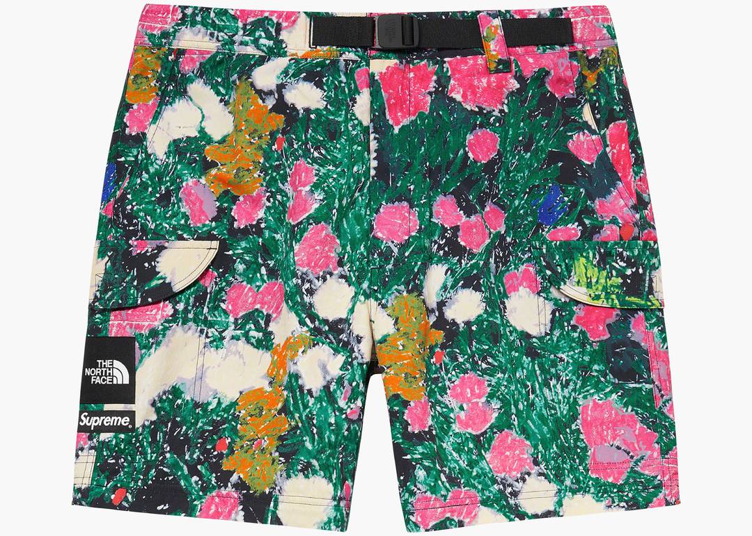 Supreme The North Face Trekking Zip-Off Belted Pant Flowers | Hype