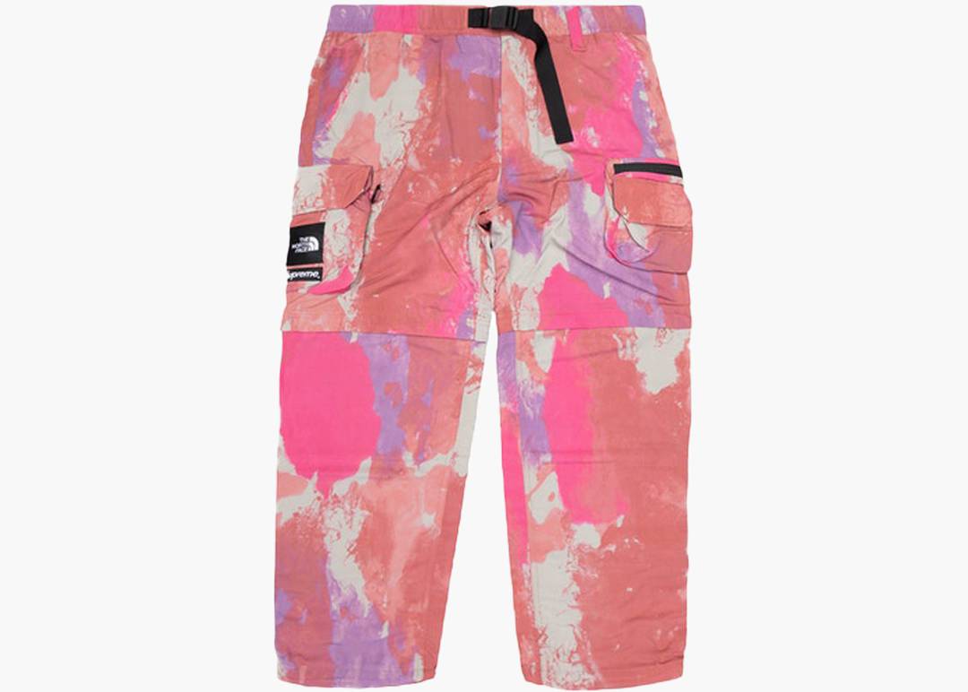 Supreme X The North Face Cargo Pant Multicolor