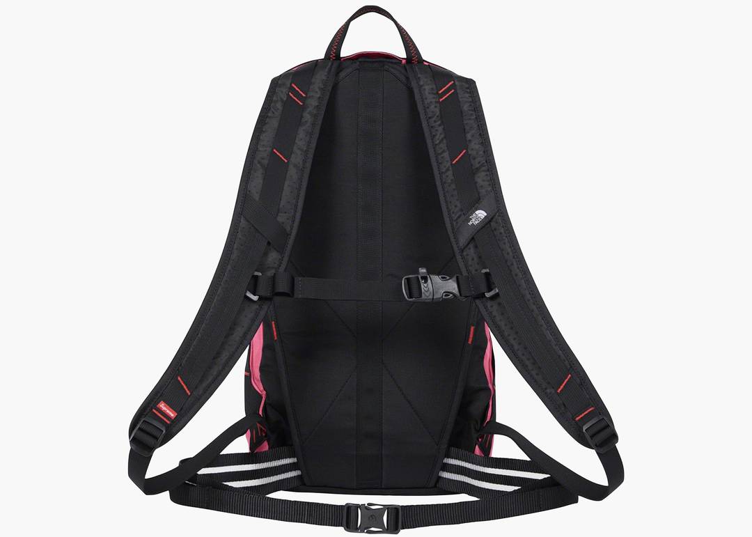 Louis Vuitton Backpack With Cloth Strapsco