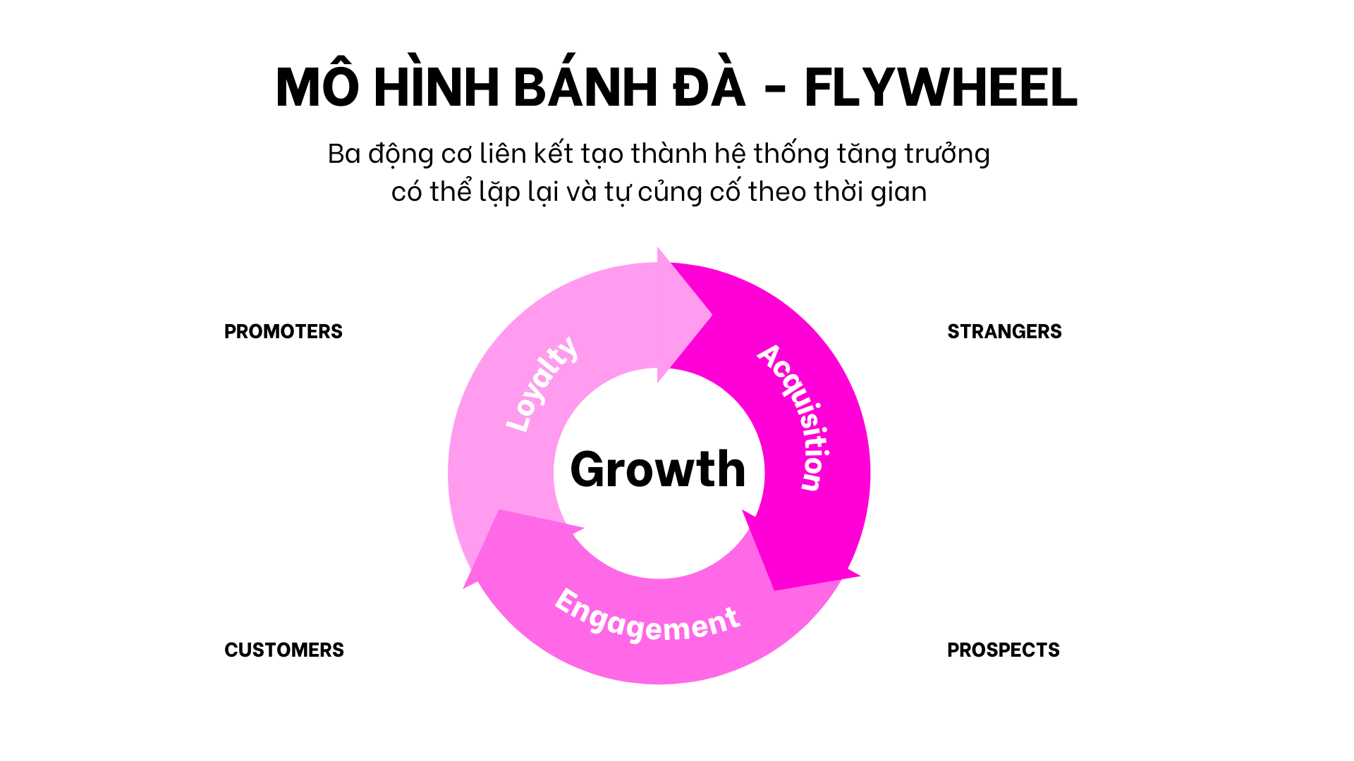 Sơ đồ mô hình bánh đà (flywheel) của hệ thống tăng trưởng gồm ba động cơ Acquisition, Engagement và Loyalty vận hành theo vòng lặp để tạo tăng trưởng bền vững và có thể lặp lại.
