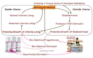 Progesterone Prescriptions: Are They Worsening Your Endometriosis Symptoms