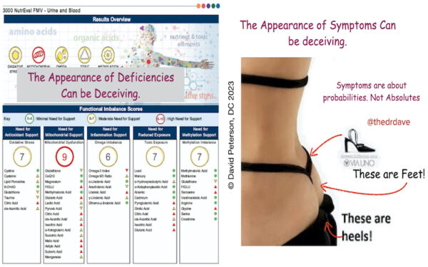 The Power of Precision: Detecting Organ Dysfunction and PTSD with ION Profile, NutrEval, and Metabolomix - Image 3