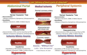 Understanding Anemia, Ischemia, Hyperemia, and Red Blood Cell Dysfunction: Implications for Oxygen Delivery in the Body