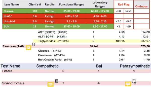 Functional Organ Systems Report