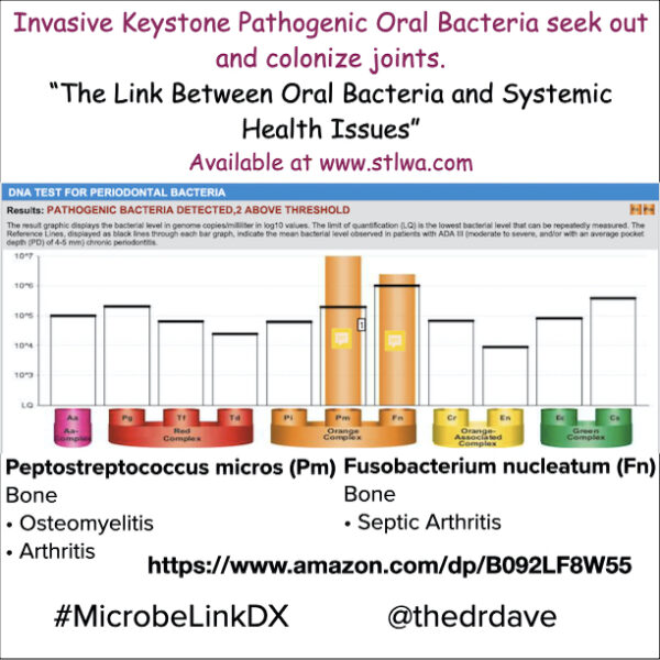 MicrobeLink DX Lab Analysis - Image 4