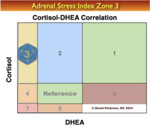 Adrenal Stress Index Zone 3 Maladaptation Phase I 