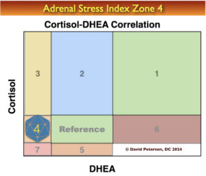 Adrenal Stress Index Zone 4 Maladapted Phase II