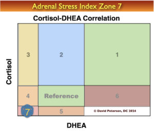 Adrenal Stress Index Zone 7 Adrenal Exhaustion 