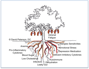 Adrenals