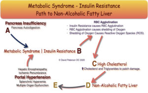 Non-Alcholic Fatty Liver