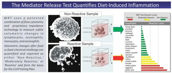Oxford MRT 86 Food Sensitivity Panel - Image 5
