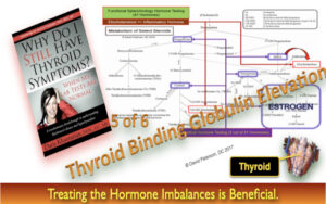 Thyroid Sex Hormone Binding Globulin Elevation