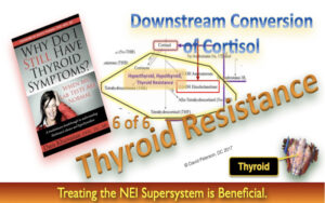 Thyroid Hormone Resistance