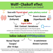 Wolff-Chaikoff Iodine-Induced Hypothyroidism