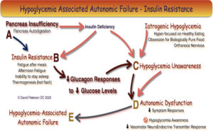 Hypoglycemic Associated Autonomic Failure (HAAF) Explained