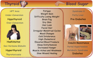 Ubiquitous Signs and Symptoms of Insulin Resistance and Hypothyroidism