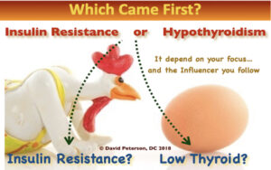 Understanding the Link Between Thyroid Function, Prediabetes, and Insulin Resistance