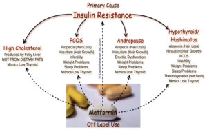 Understanding the Link Between Prediabetes, Insulin Resistance, and Thyroid Function