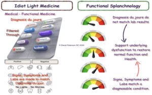 Why Splanchnology is the Missing Key to Functional Medicine Success