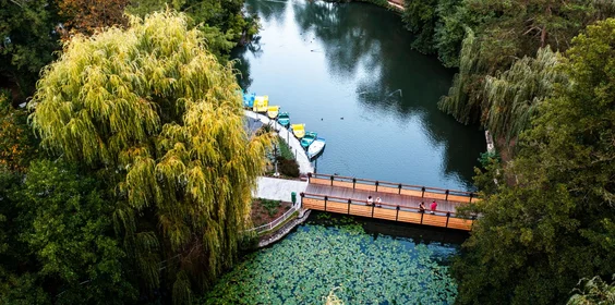 Le système de parcs de Miskolctapolca