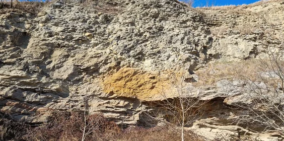 Diatrema de Tachty