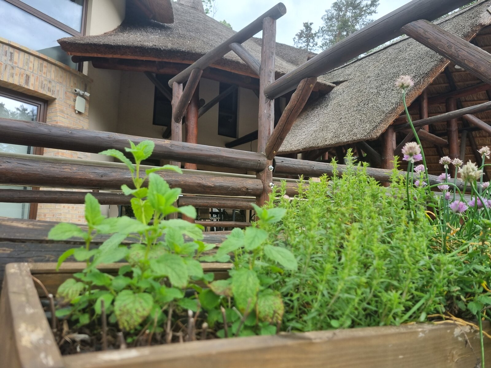 Sustainability and an Ecotourism Approach